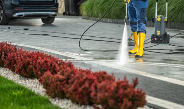 Best Sidewalk and Walkway Cleaning  in Louisville, CO